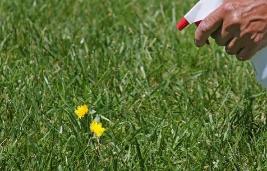 Pillanatok alatt kikevered, és búcsút inthetsz a gyomoknak! Gyomirtóspray házilag